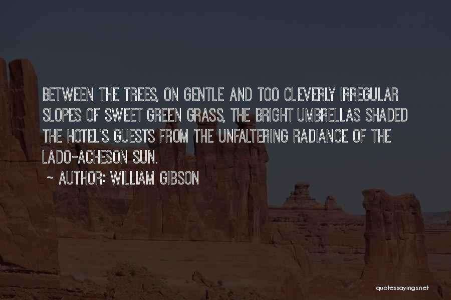 Slopes Quotes By William Gibson