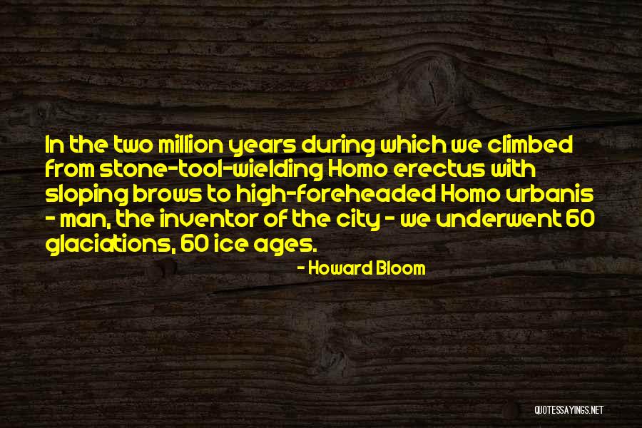 Sloping Quotes By Howard Bloom Sloping Quotes By Howard Bloom