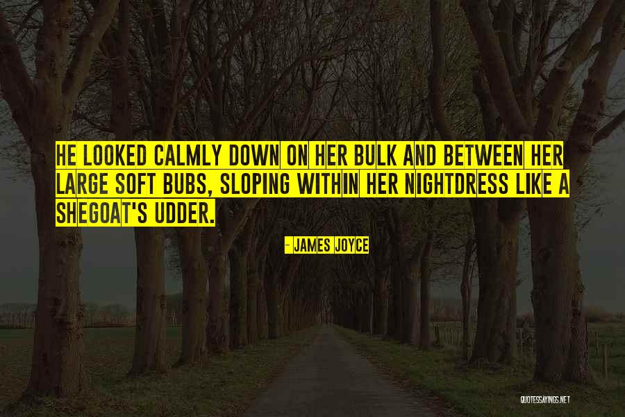 Sloping Quotes By James Joyce Sloping Quotes By James Joyce