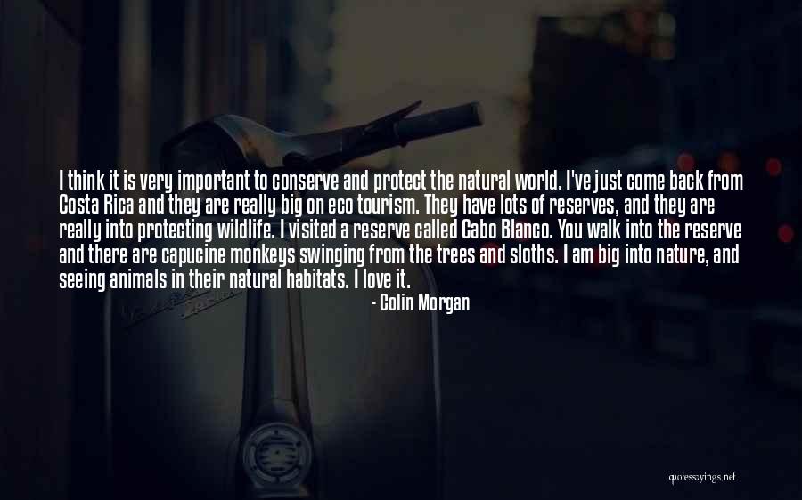 Sloths With Quotes By Colin Morgan Sloths With Quotes By Colin Morgan