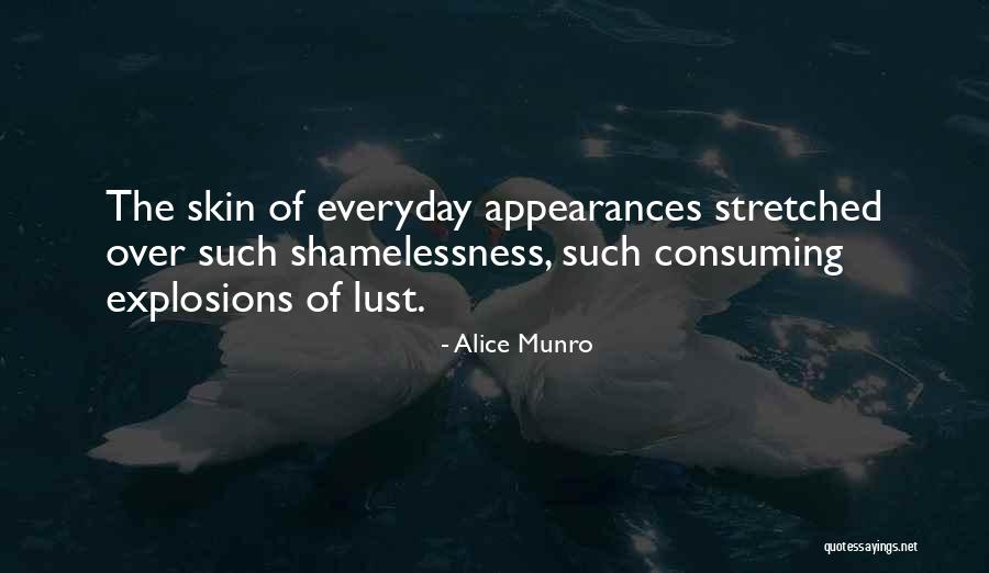 Sloucher Chair Quotes By Alice Munro Sloucher Chair Quotes By Alice Munro