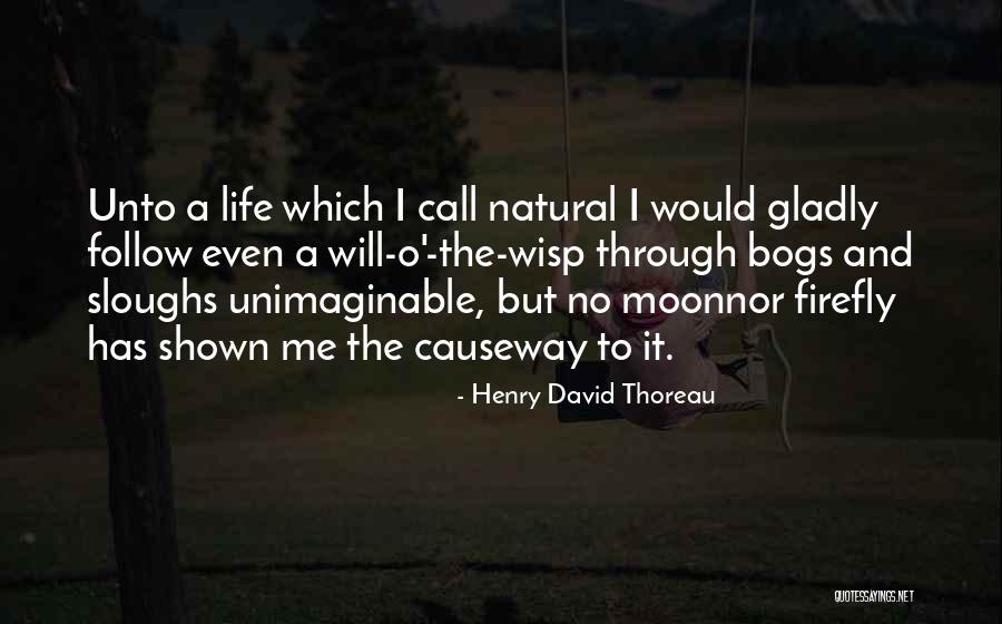 Sloughs Off Quotes By Henry David Thoreau Sloughs Off Quotes By Henry David Thoreau