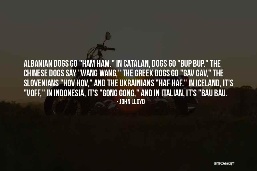 Slovenians Quotes By John Lloyd Slovenians Quotes By John Lloyd