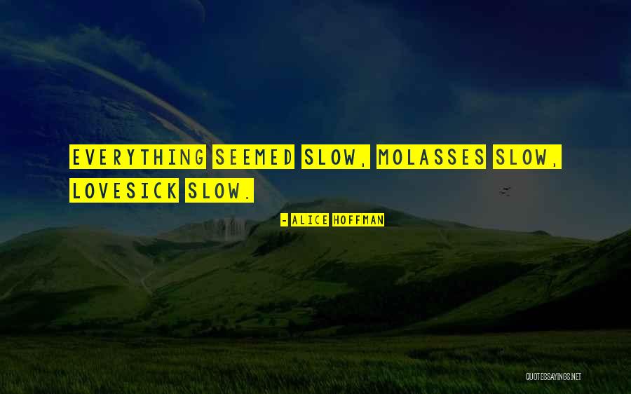 Slow As Molasses Quotes By Alice Hoffman Slow As Molasses Quotes By Alice Hoffman