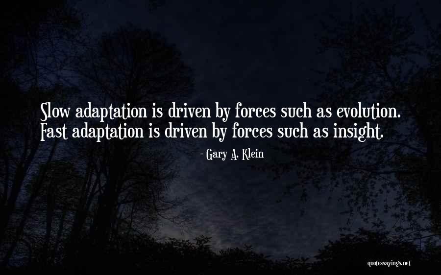 Slow As Quotes By Gary A. Klein Slow As Quotes By Gary A. Klein