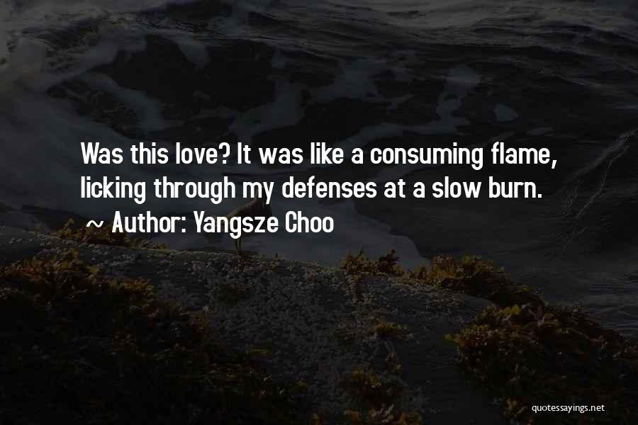 Slow Burn Love Quotes By Yangsze Choo