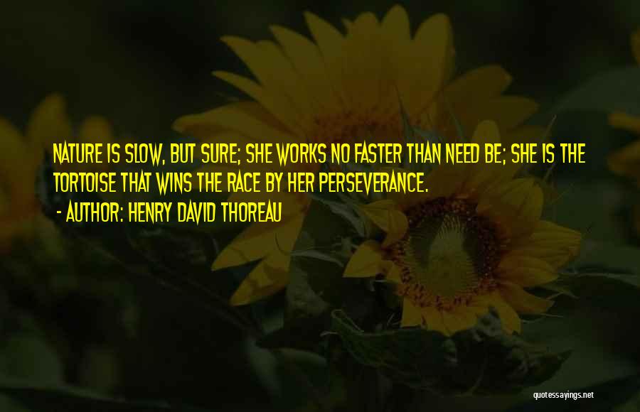 Slow But Sure Quotes By Henry David Thoreau