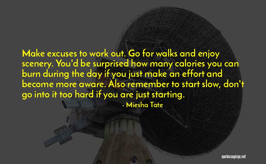 Slow Day At Work Quotes By Miesha Tate