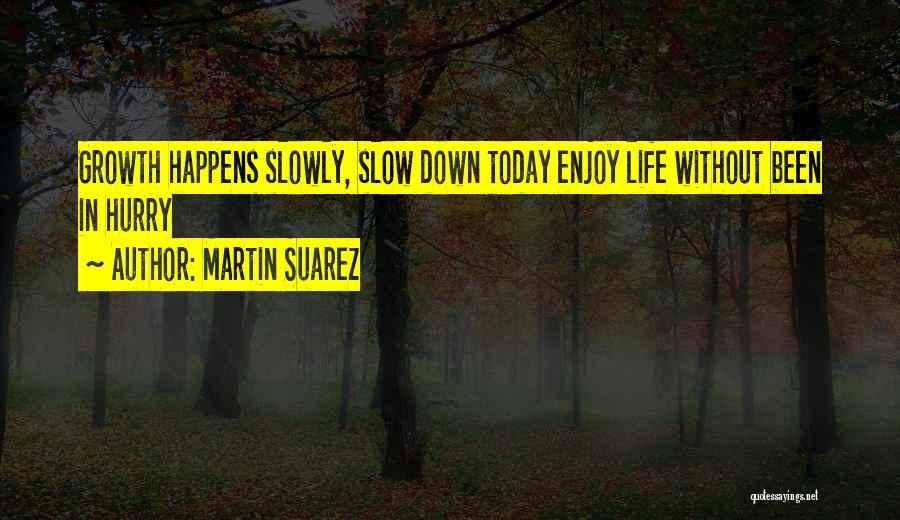 Slow Down In Life Quotes By Martin Suarez