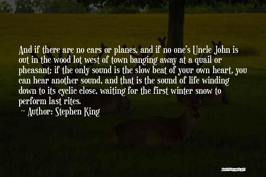 Slow Down In Life Quotes By Stephen King