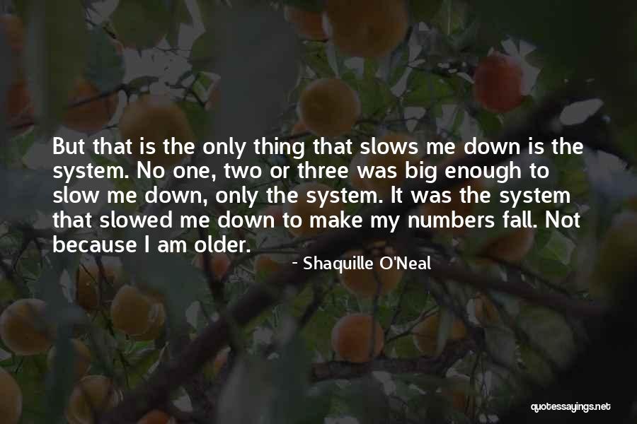 Slow Down Slow Quotes By Shaquille O'Neal Slow Down Slow Quotes By Shaquille O'Neal