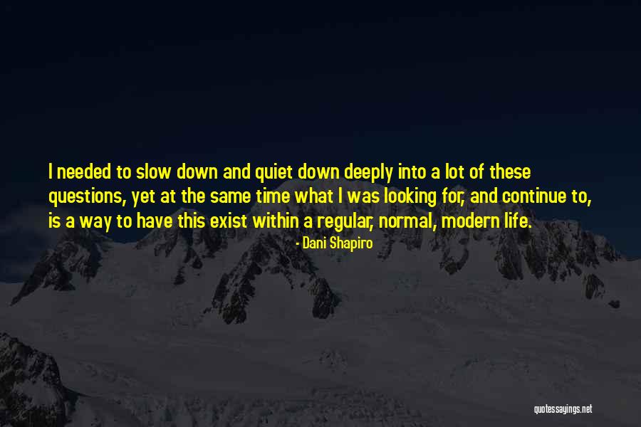 Slow Down Time Quotes By Dani Shapiro Slow Down Time Quotes By Dani Shapiro