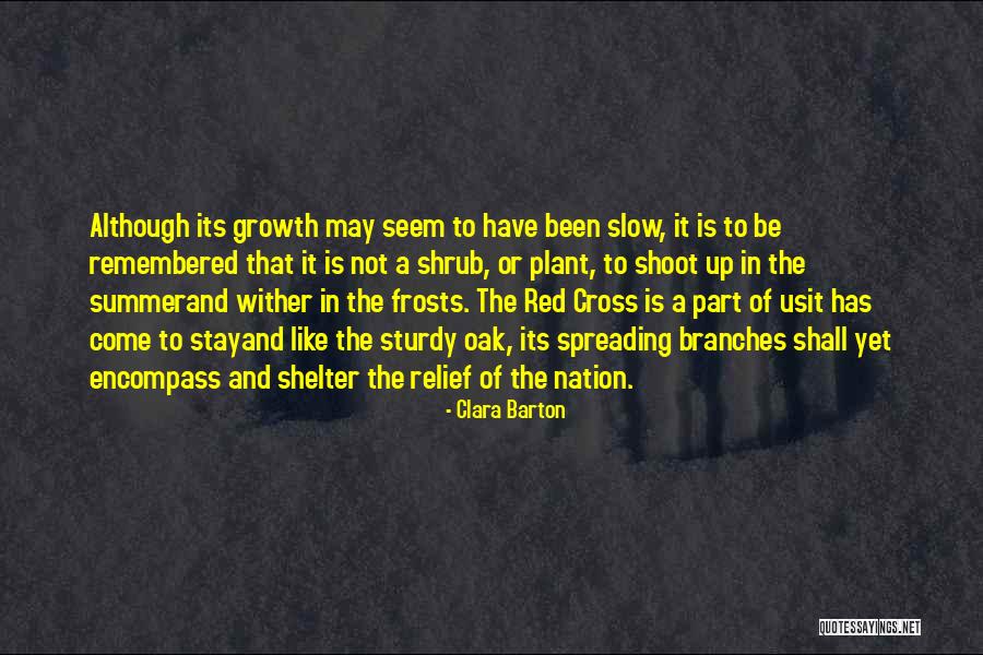 Slow Growth Quotes By Clara Barton Slow Growth Quotes By Clara Barton