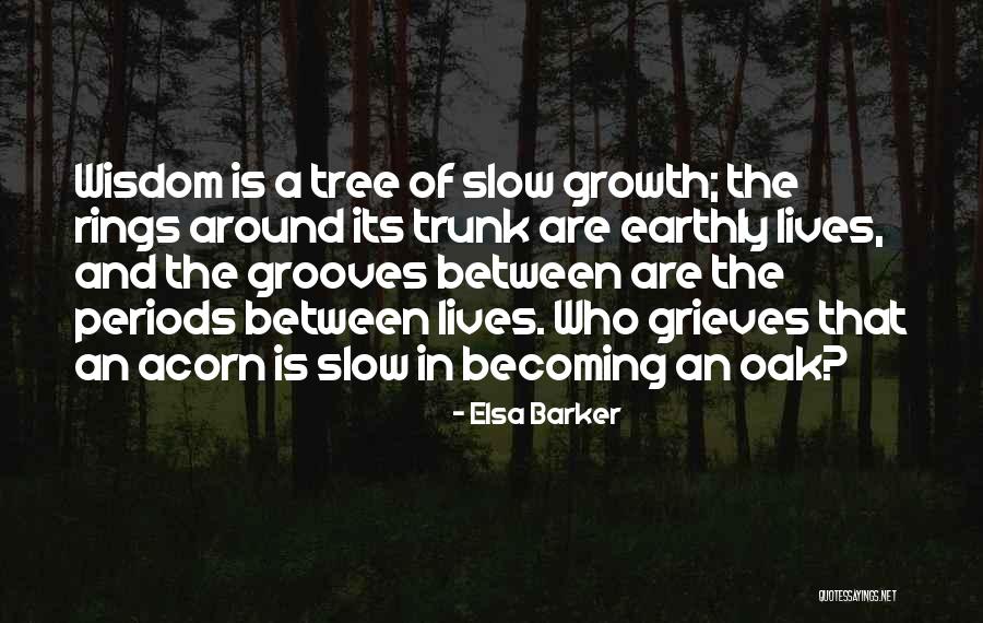 Slow Growth Quotes By Elsa Barker Slow Growth Quotes By Elsa Barker