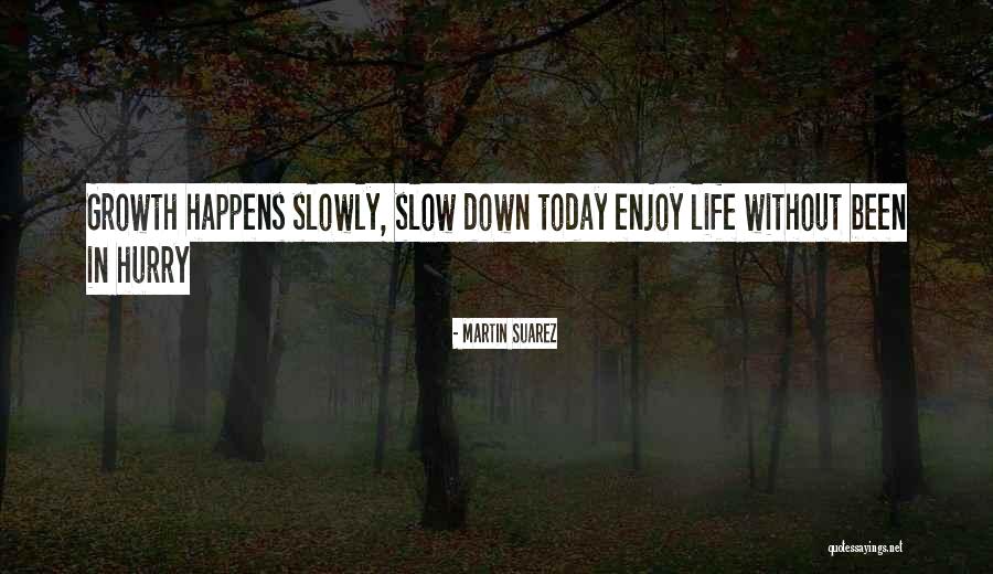Slow Growth Quotes By Martin Suarez Slow Growth Quotes By Martin Suarez