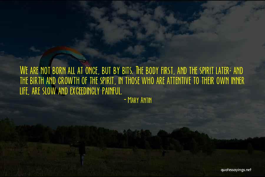 Slow Growth Quotes By Mary Antin Slow Growth Quotes By Mary Antin