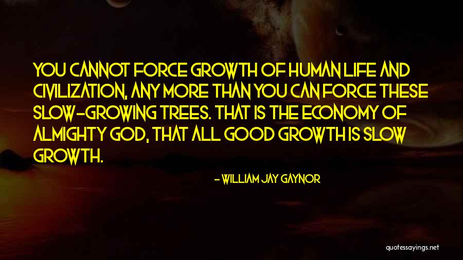 Slow Growth Quotes By William Jay Gaynor Slow Growth Quotes By William Jay Gaynor