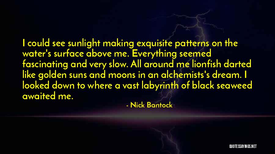 Slow Me Down Quotes By Nick Bantock