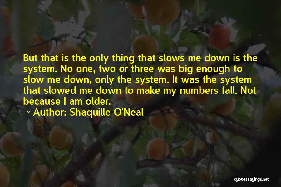 Slow Me Down Quotes By Shaquille O'Neal