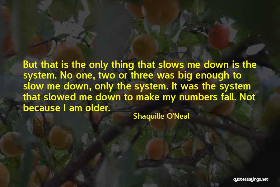 Slow Me Down Quotes By Shaquille O'Neal