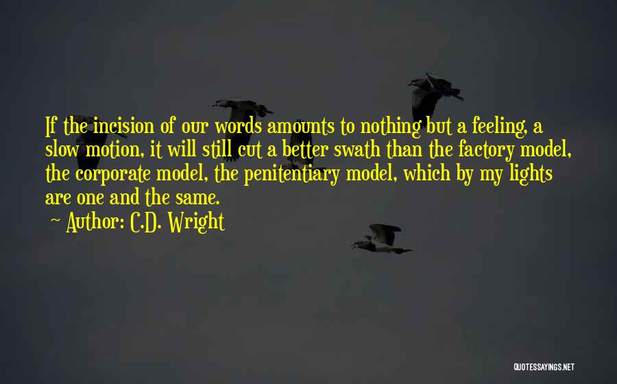 Slow Motion Quotes By C.D. Wright