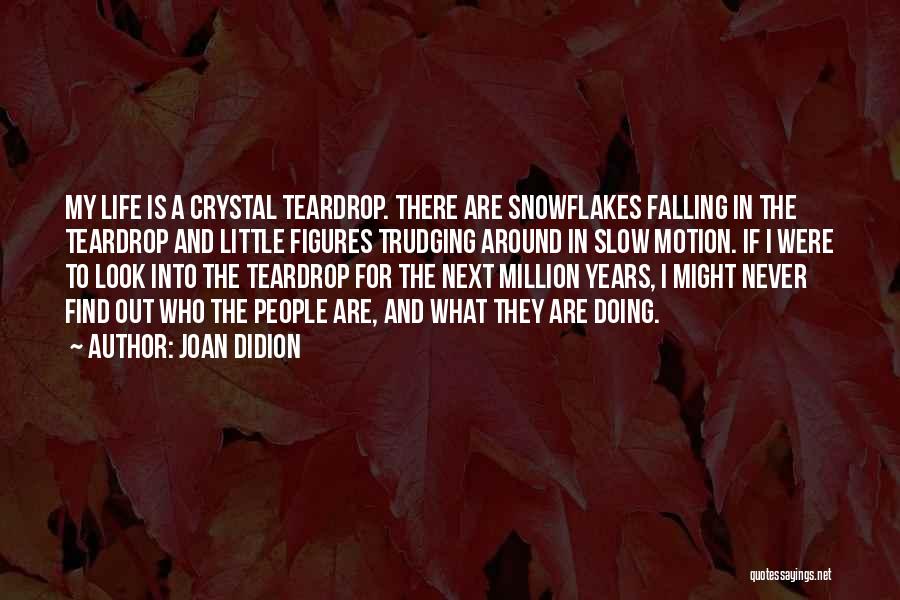 Slow Motion Quotes By Joan Didion