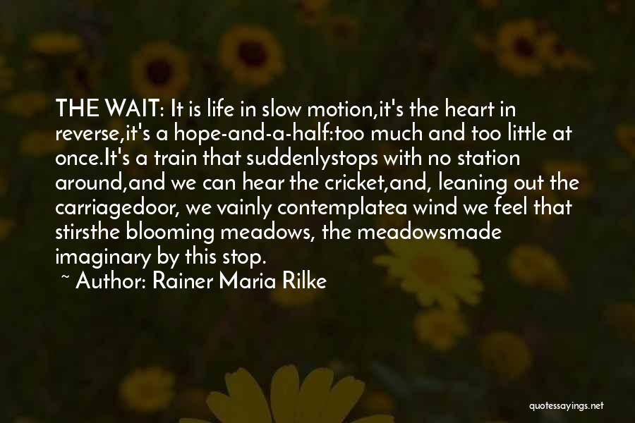 Slow Motion Quotes By Rainer Maria Rilke