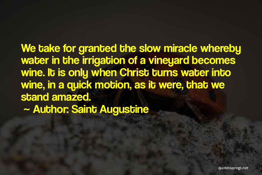 Slow Motion Quotes By Saint Augustine