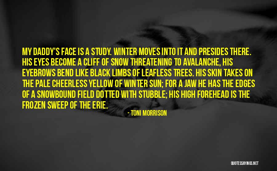 Slow Train Chords Quotes By Toni Morrison Slow Train Chords Quotes By Toni Morrison