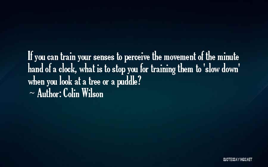 Slow Train Quotes By Colin Wilson