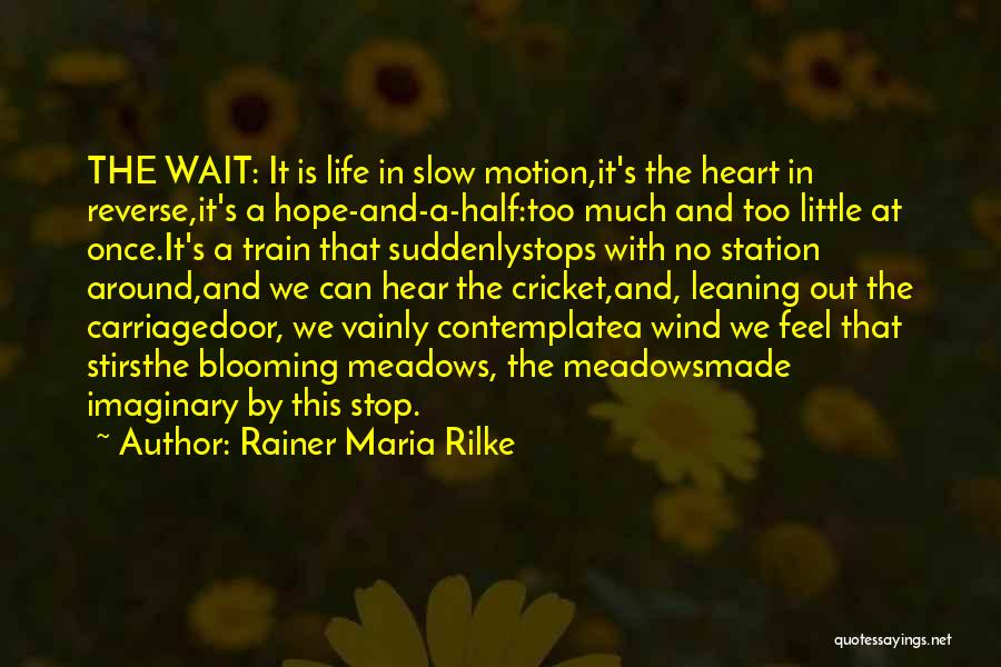 Slow Train Quotes By Rainer Maria Rilke