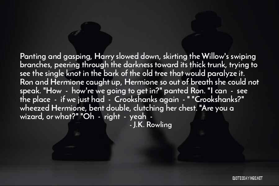 Slowed Quotes By J.K. Rowling Slowed Quotes By J.K. Rowling