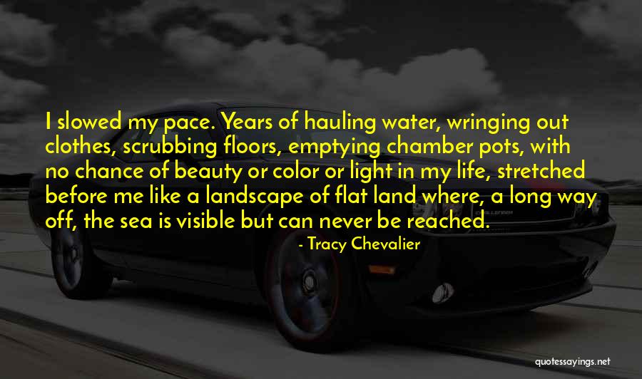 Slowed Quotes By Tracy Chevalier Slowed Quotes By Tracy Chevalier