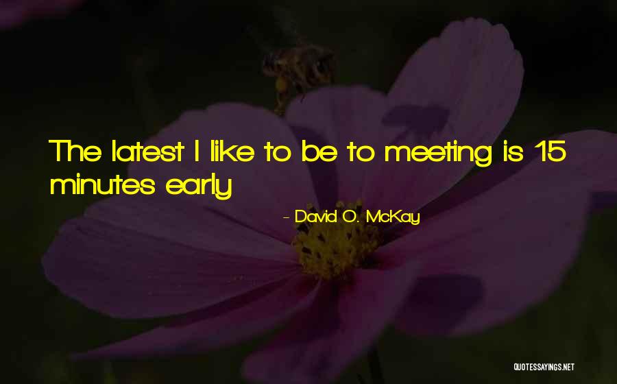 Slowing Down And Watch The Clouds Quotes By David O. McKay