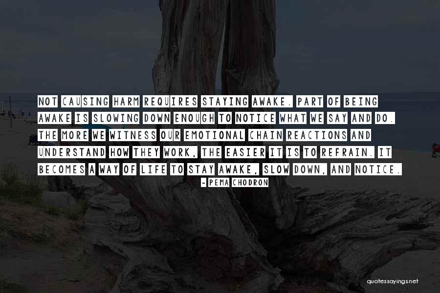 Slowing Down At Work Quotes By Pema Chodron Slowing Down At Work Quotes By Pema Chodron