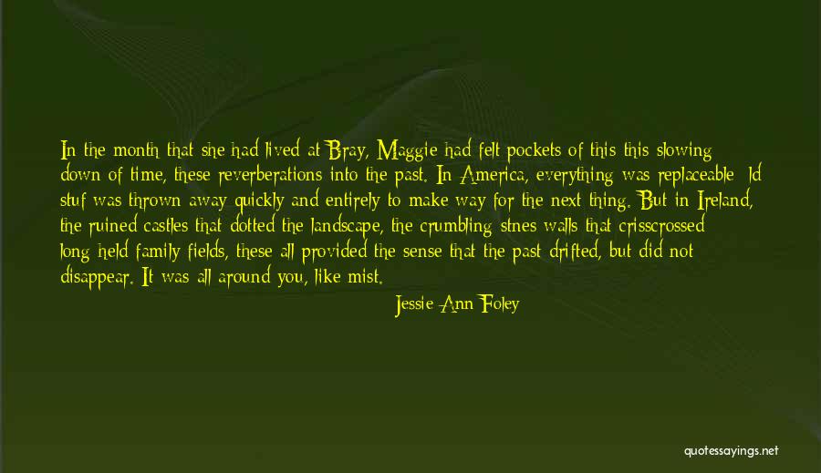 Slowing Down Family Quotes By Jessie Ann Foley Slowing Down Family Quotes By Jessie Ann Foley