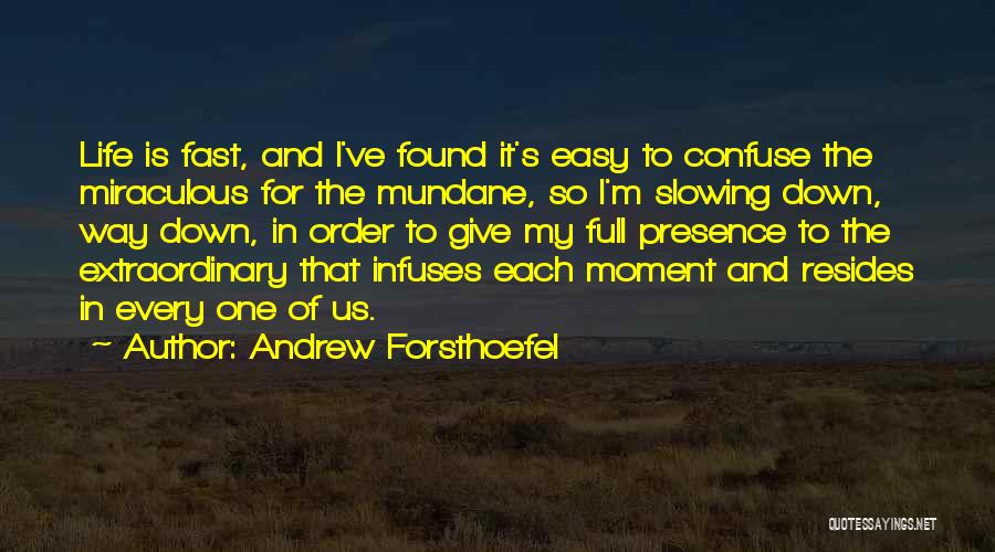 Slowing Down Life Quotes By Andrew Forsthoefel