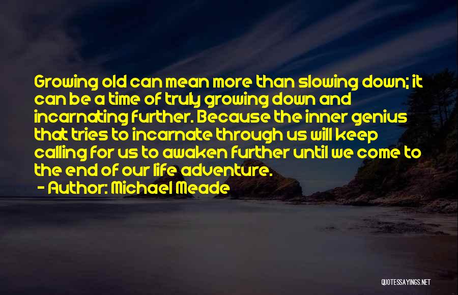 Slowing Down Life Quotes By Michael Meade