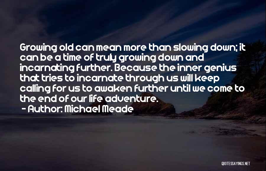 Slowing Time Down Quotes By Michael Meade