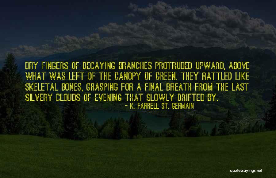 Slowly Dying Quotes By K. Farrell St. Germain Slowly Dying Quotes By K. Farrell St. Germain