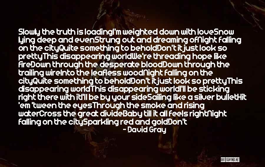 Slowly Falling For Him Quotes By David Gray