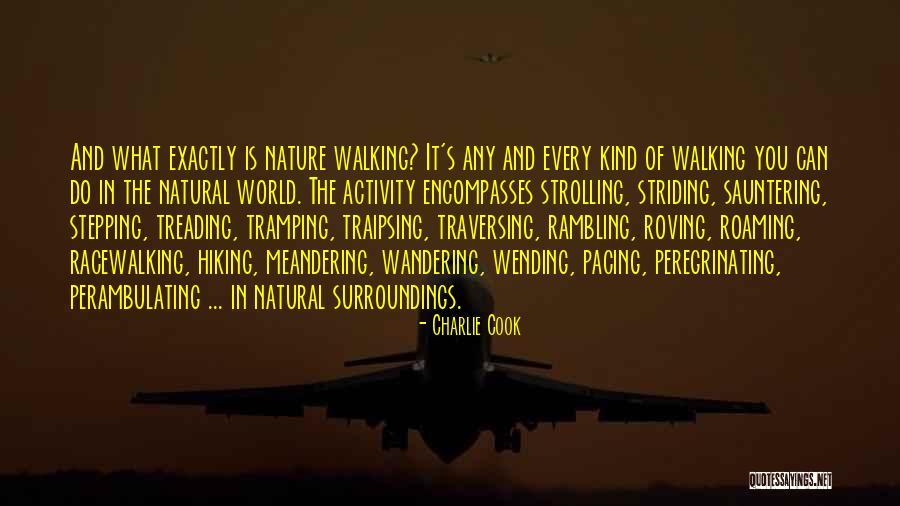 Slowness Milan Kundera Quotes By Charlie Cook Slowness Milan Kundera Quotes By Charlie Cook