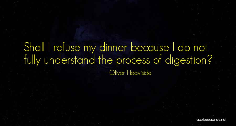 Slua Shawkat Quotes By Oliver Heaviside Slua Shawkat Quotes By Oliver Heaviside