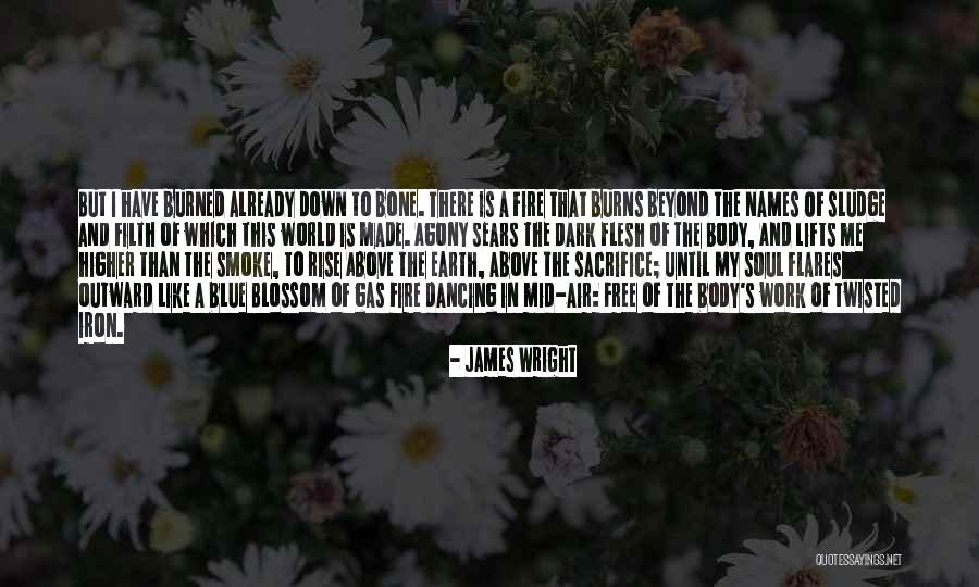 Sludge Quotes By James Wright Sludge Quotes By James Wright