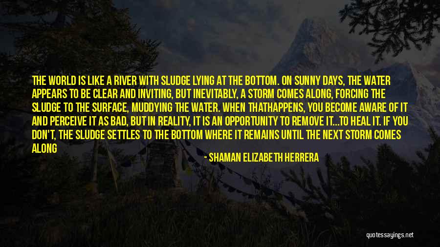 Sludge Quotes By Shaman Elizabeth Herrera Sludge Quotes By Shaman Elizabeth Herrera