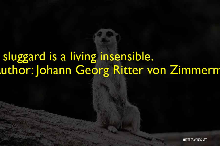 Sluggard Quotes By Johann Georg Ritter Von Zimmermann