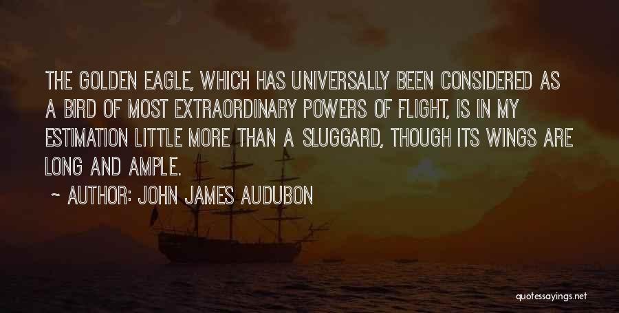 Sluggard Quotes By John James Audubon