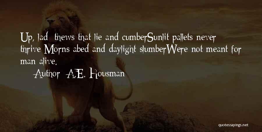 Slumber Quotes By A.E. Housman