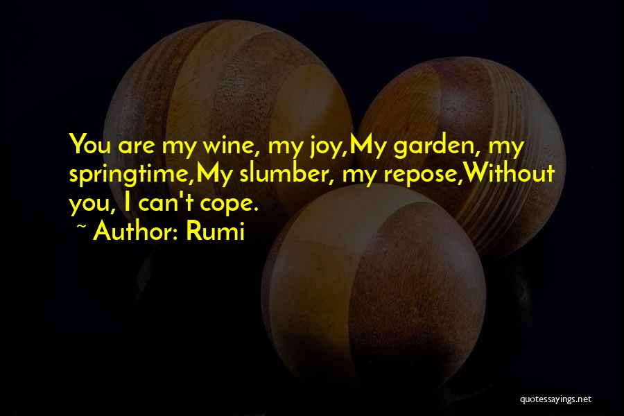 Slumber Quotes By Rumi