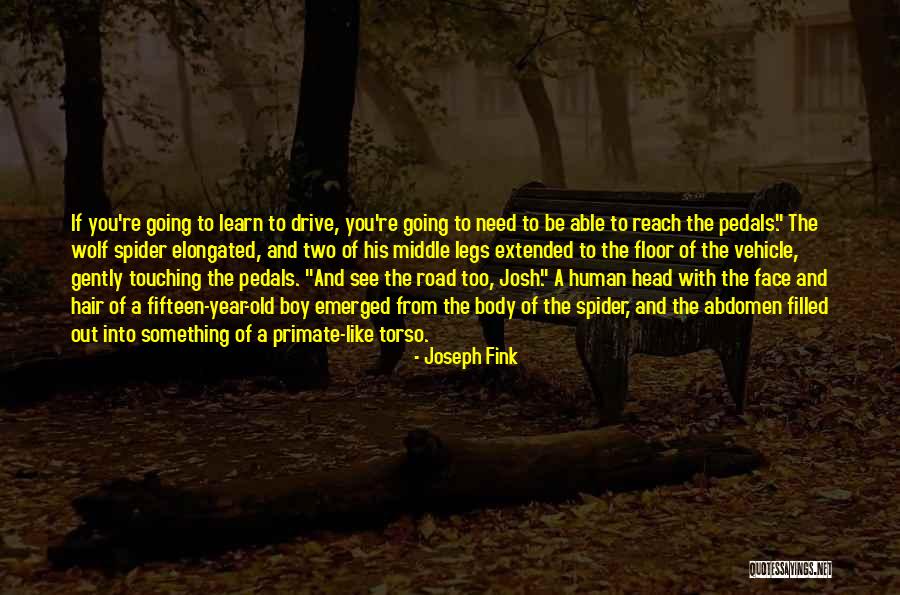 Slump Stone Walls Quotes By Joseph Fink Slump Stone Walls Quotes By Joseph Fink